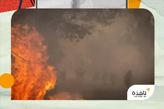 حرائق إسبانيا دمرت مساحات قياسية بلغت 343 ألف هكتار هذا العام