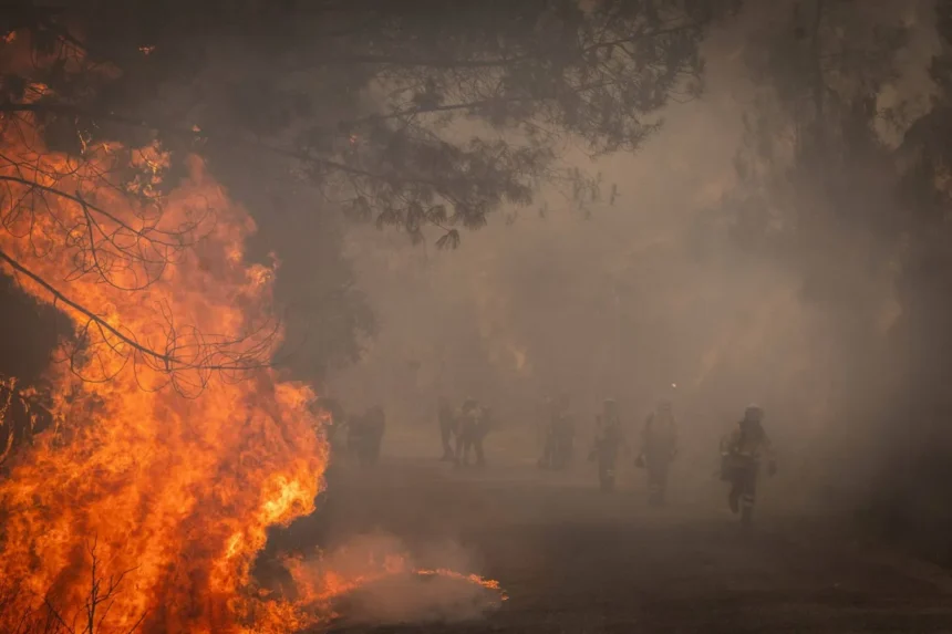 حرائق إسبانيا دمرت مساحات قياسية بلغت 343 ألف هكتار هذا العام