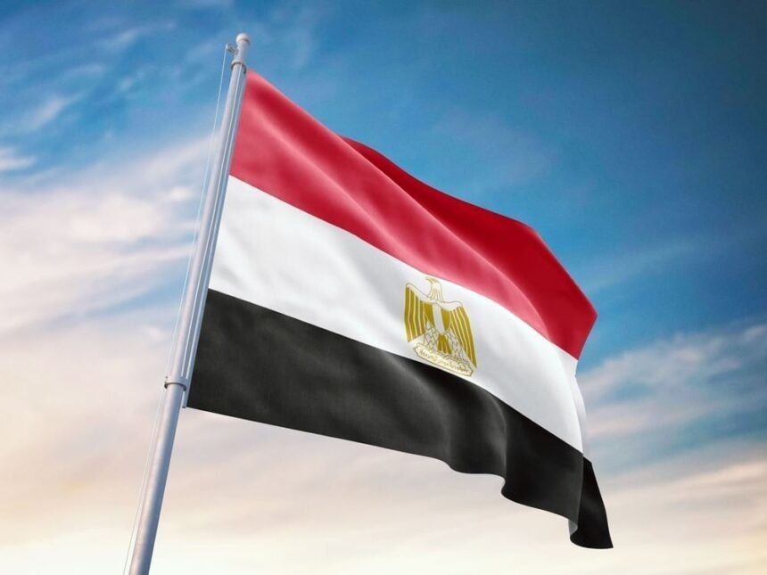 الشيخ يناشد الأعلى للثقافة "العامية.. هوية وطنية تستحق الاعتراف"