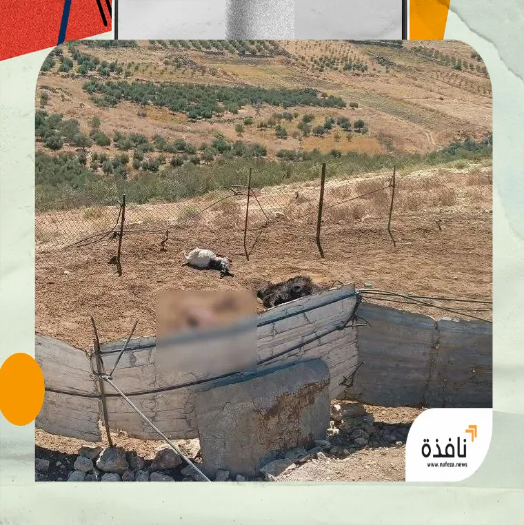 توغل إسرائيلي بريف القنيطرة وتفتيش منازل قرب نقطة للأمم المتحدة | نافذة الشرق توغل إسرائيلي بريف القنيطرة وتفتيش منازل قرب نقطة للأمم المتحدة | نافذة الشرق